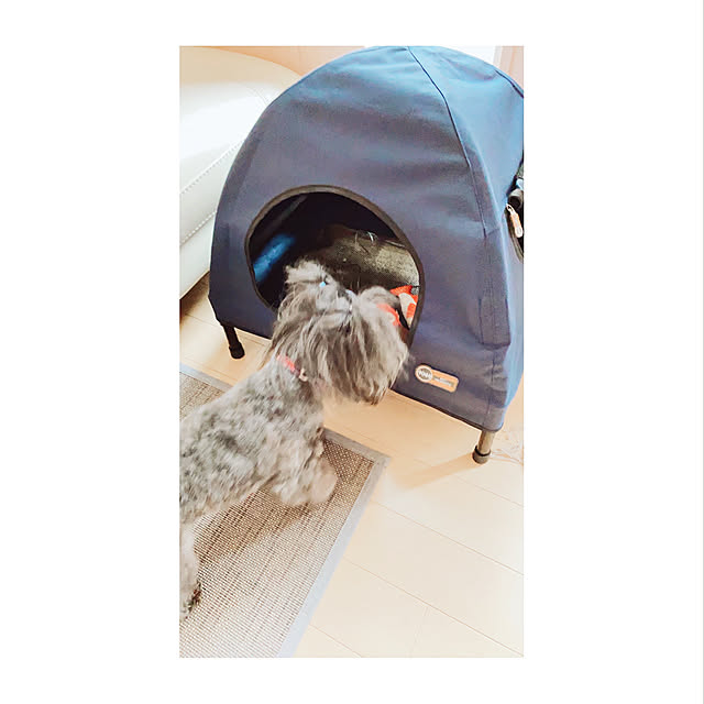 mako1210さんの実例写真