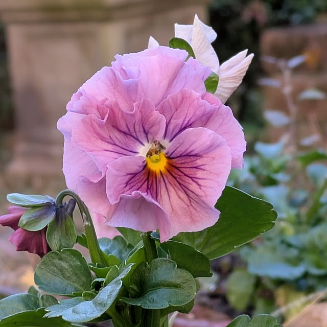 Rさんの実例写真