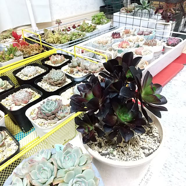 meiさんの部屋