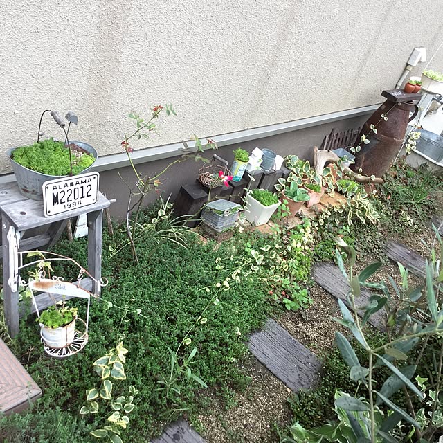mippoko345さんの実例写真