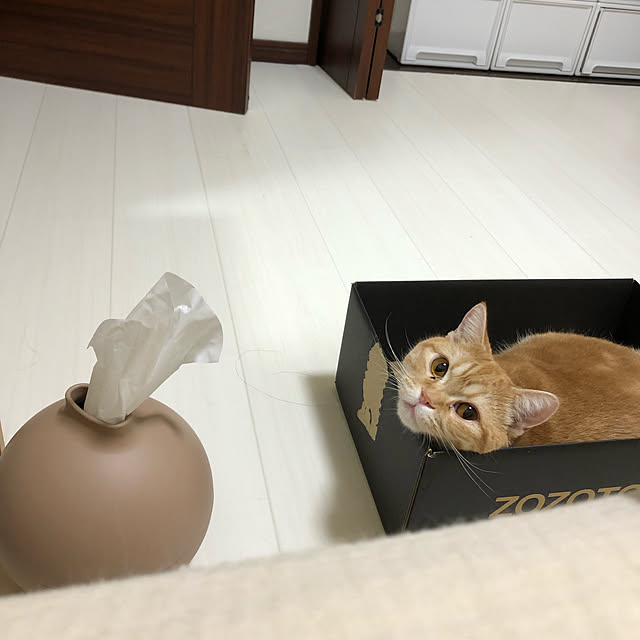 Atelier.mさんの実例写真