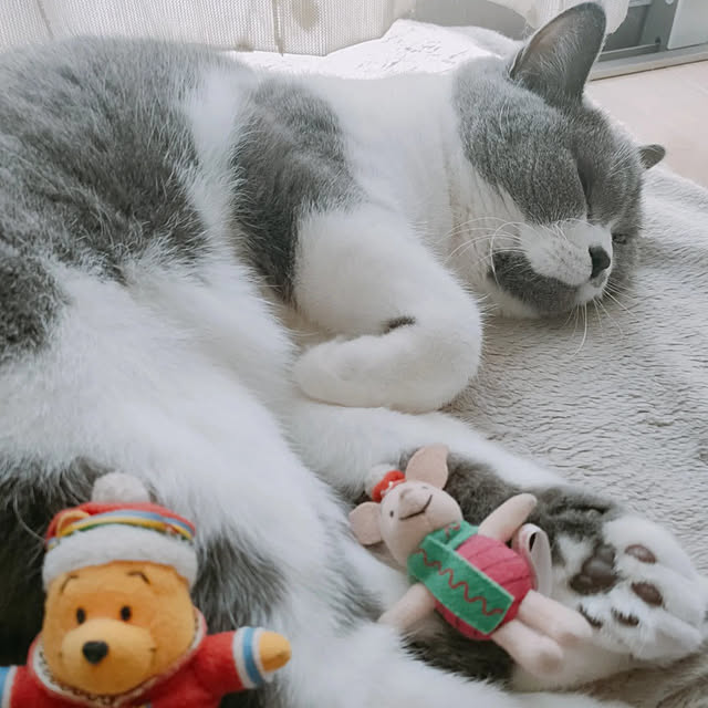 KEIKOさんの実例写真