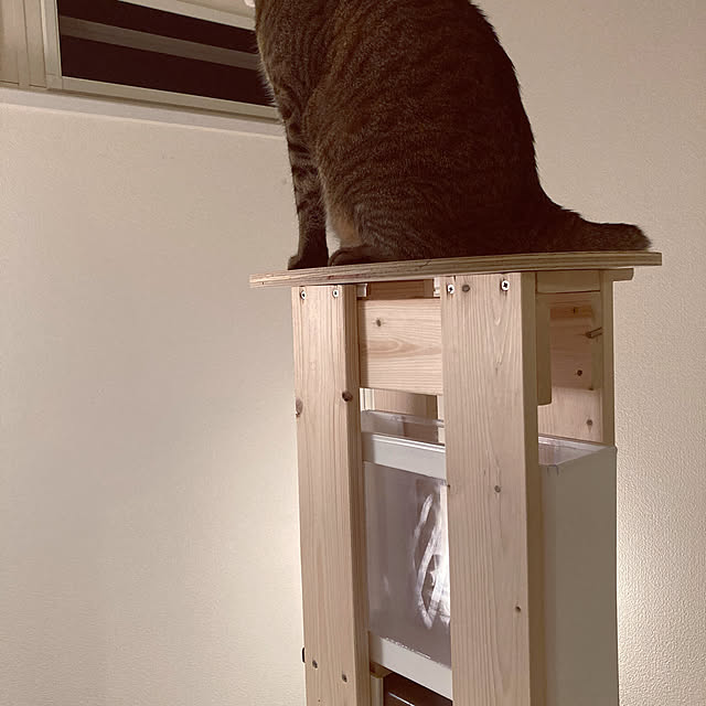 UNTYNさんの実例写真