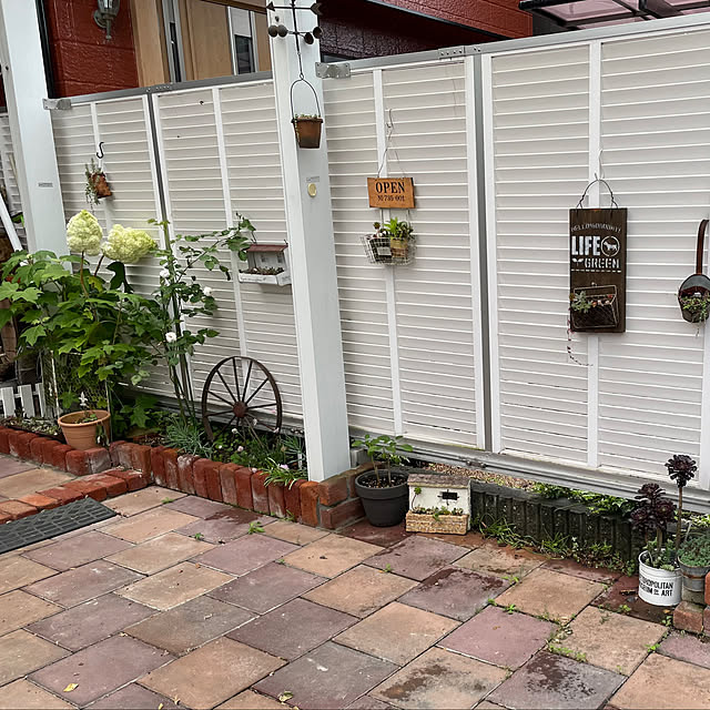 yoko_petitbonheurさんの部屋