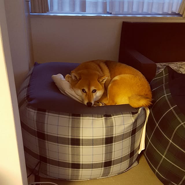 konatuさんの実例写真