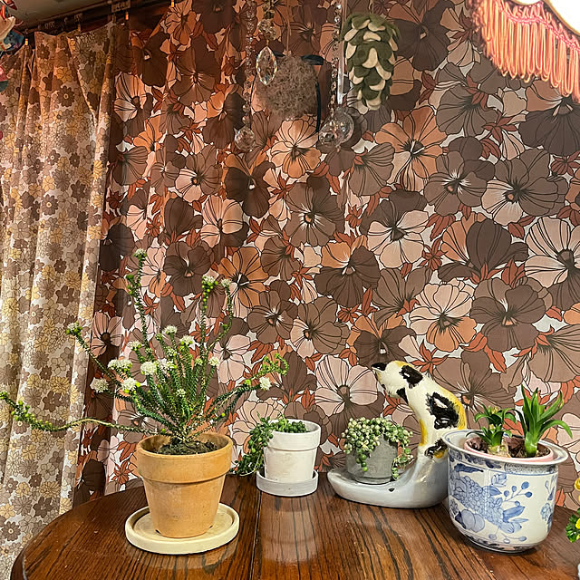 shin0719さんの実例写真