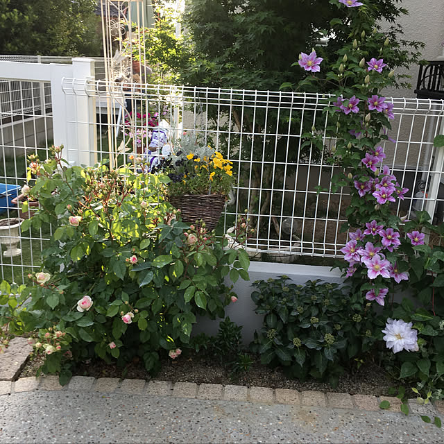 MAKARONさんの実例写真