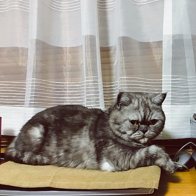 Marinさんの実例写真