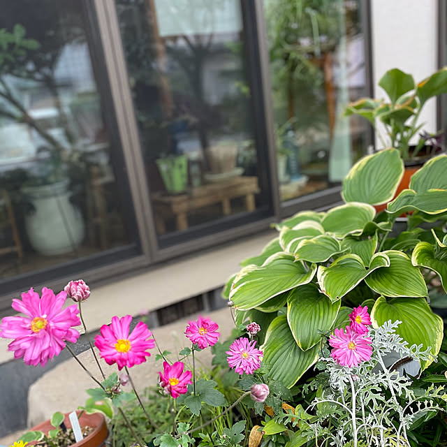 buchiさんの部屋