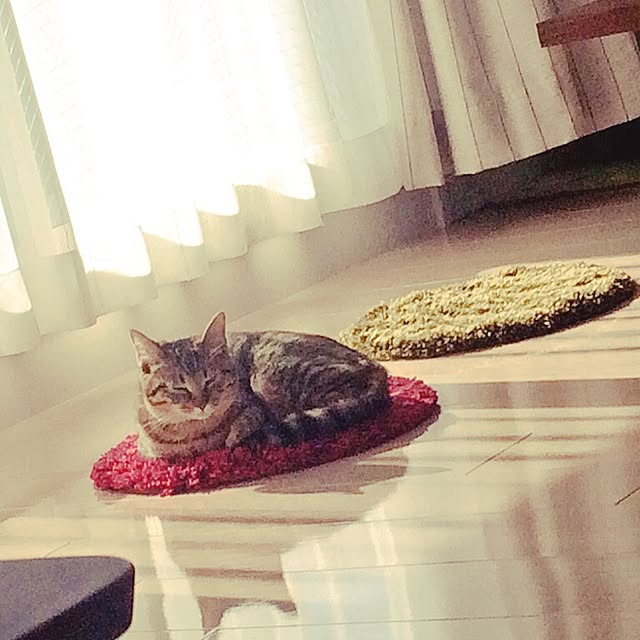 ayapiiiiceさんの実例写真