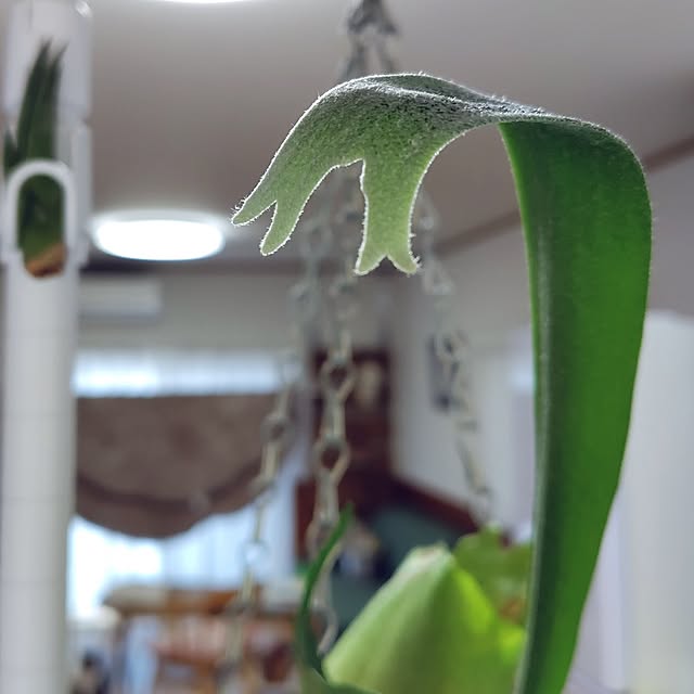 nachiさんの部屋