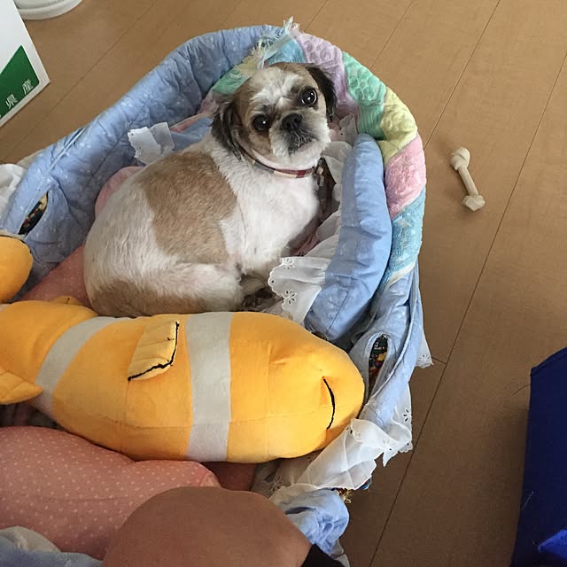 emiさんの実例写真