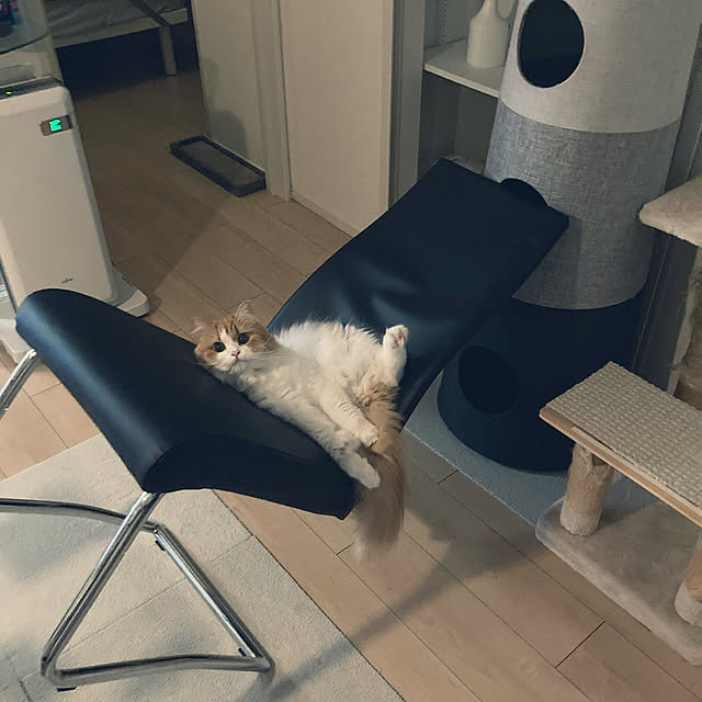 H.Tさんの実例写真