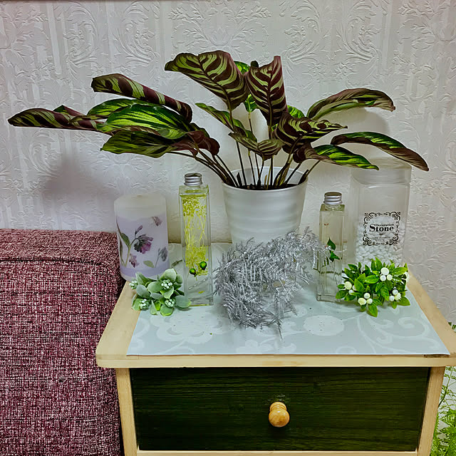 fuuさんの実例写真