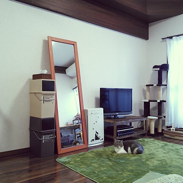 lovepandaさんの実例写真