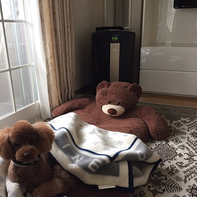 Naomiさんの実例写真