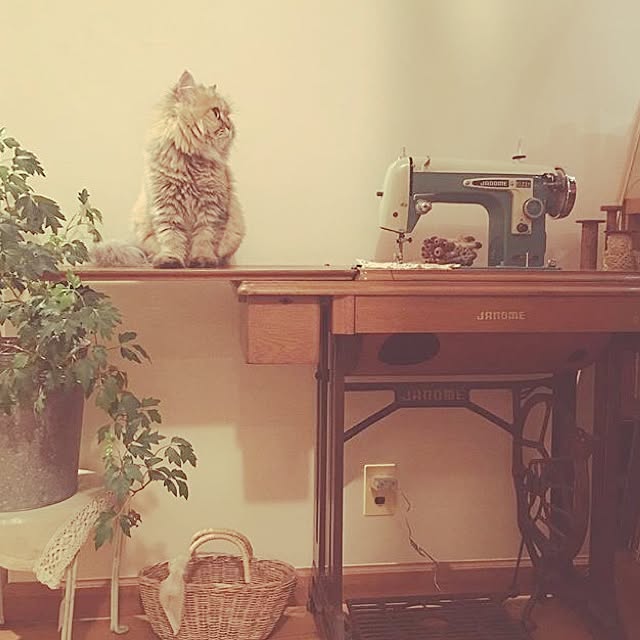 teddyさんの実例写真