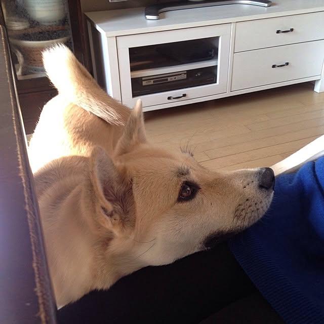 leonaさんの実例写真