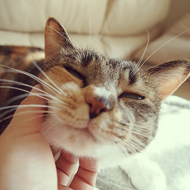 tomo1220さんの実例写真