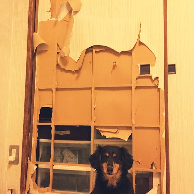 ohanaさんの実例写真