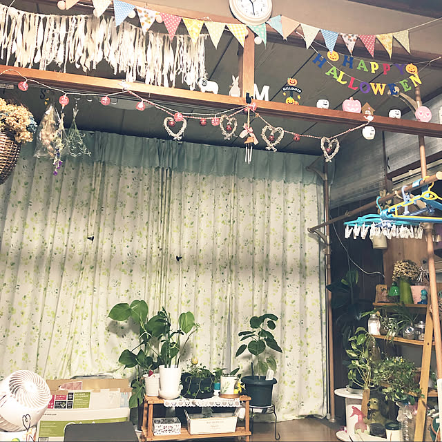 lilyさんの実例写真