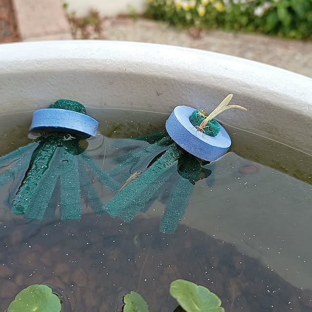 soyokoさんの実例写真