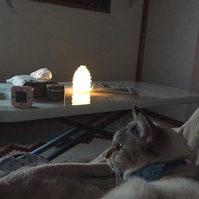 nanaさんの実例写真