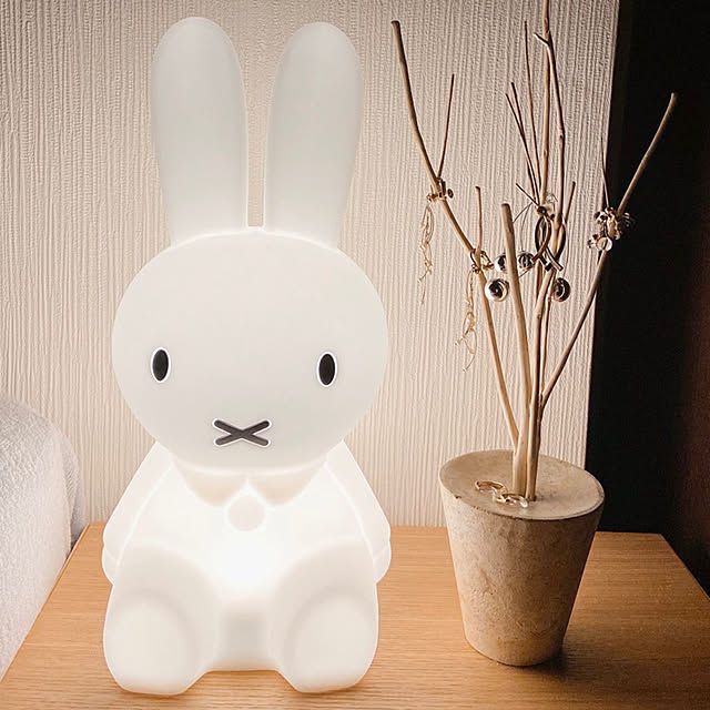 mochiさんの実例写真