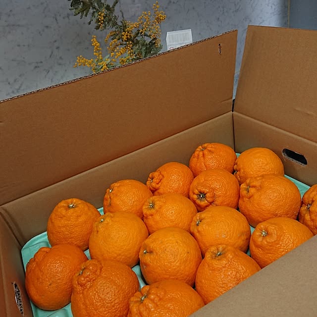hopkeiさんの実例写真