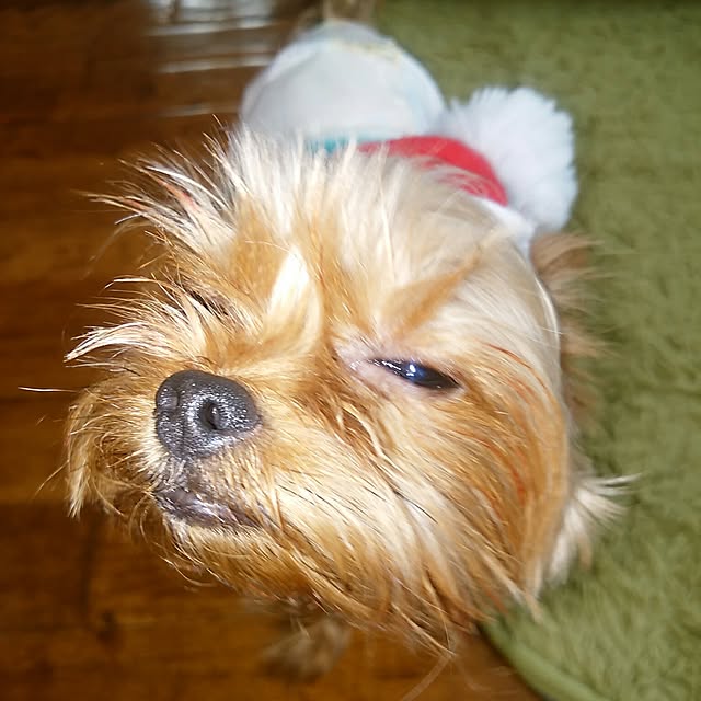 riku-papaさんの実例写真