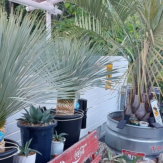 kojikenさんの部屋