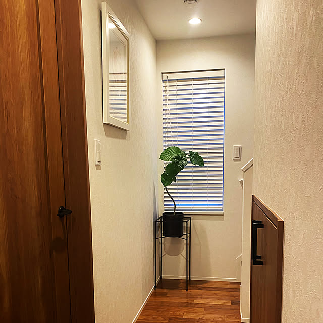 mipさんの実例写真