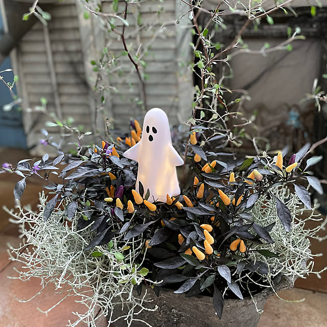 mamisazさんの実例写真