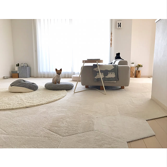 haruhinaさんの実例写真
