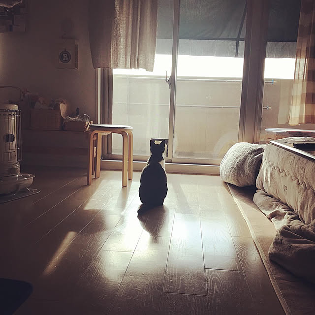 1760hacoさんの実例写真