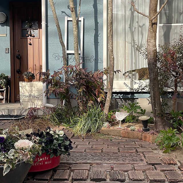 nobikoさんの部屋