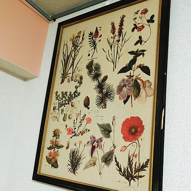 Takakoさんの実例写真