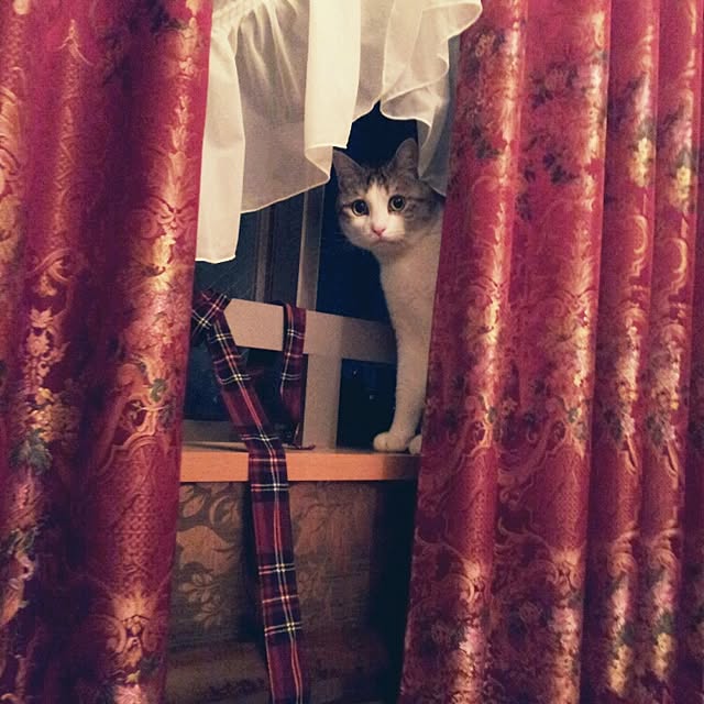 emmyyさんの実例写真