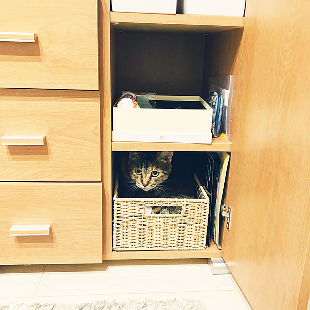 minminさんの実例写真
