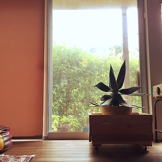 chatoranさんの実例写真