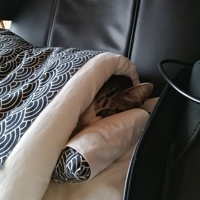 teruminさんの実例写真