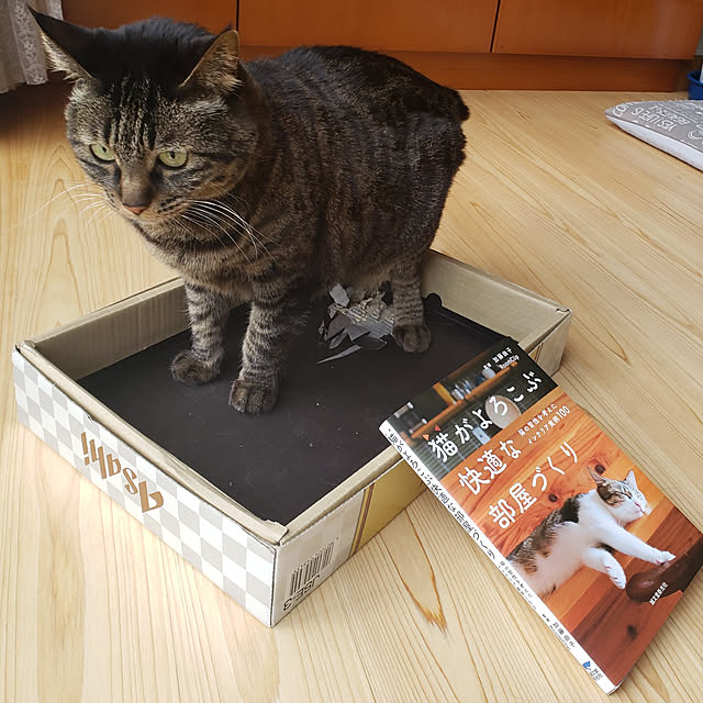 Mayumi8888さんの実例写真