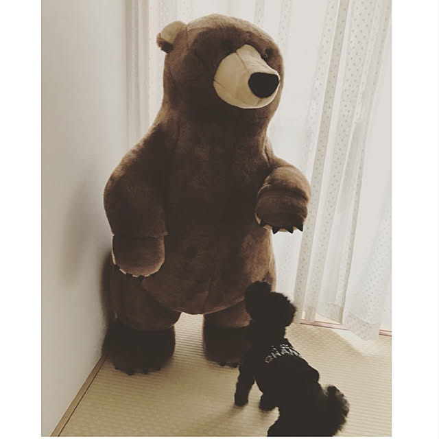 beさんの実例写真