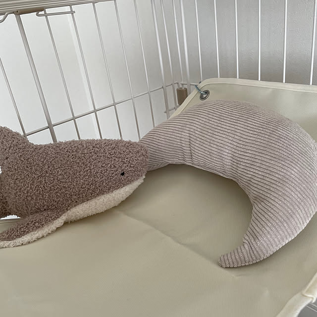 chovyさんの部屋