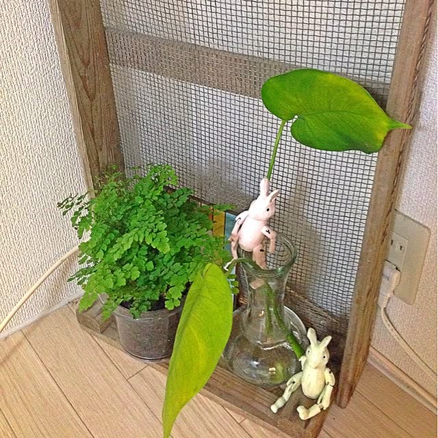 実例写真