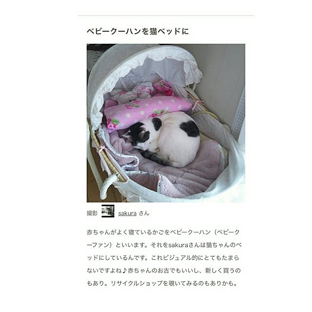 sakuraさんの実例写真
