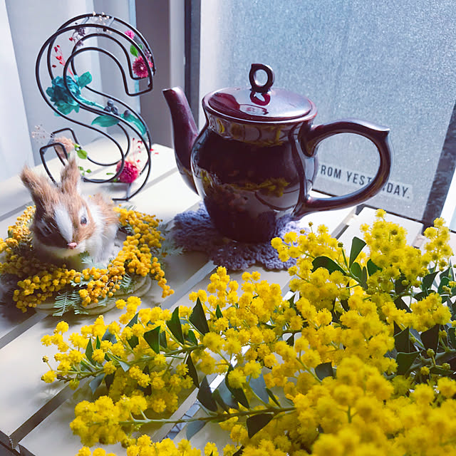 portulacaさんの実例写真