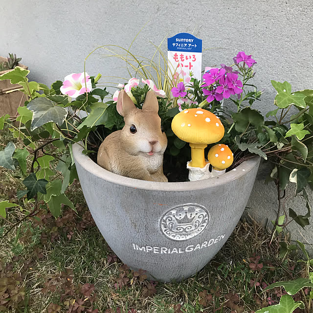 emikoさんの実例写真