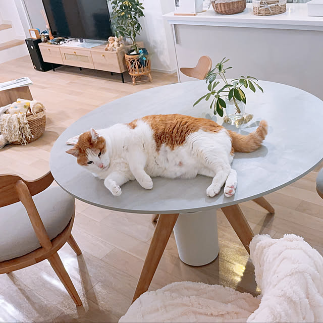 m--homeさんの実例写真