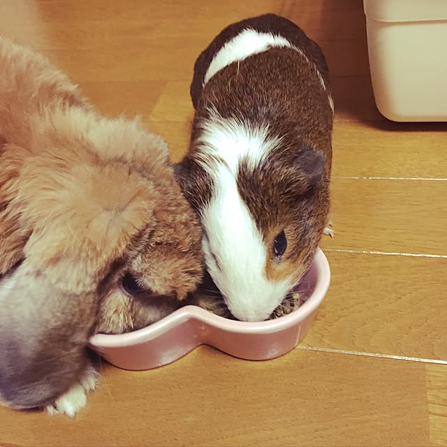 mimiさんの実例写真